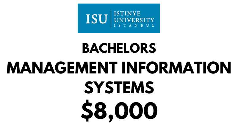 Bachelor of Management Information Systems at Istinye University: Tuition Fee: $8,000/year