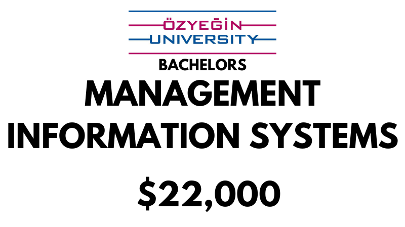 Bachelors of Arts (BA) in Management Information Systems at Ozyegin University: $22,000/year (Scholarship Available)