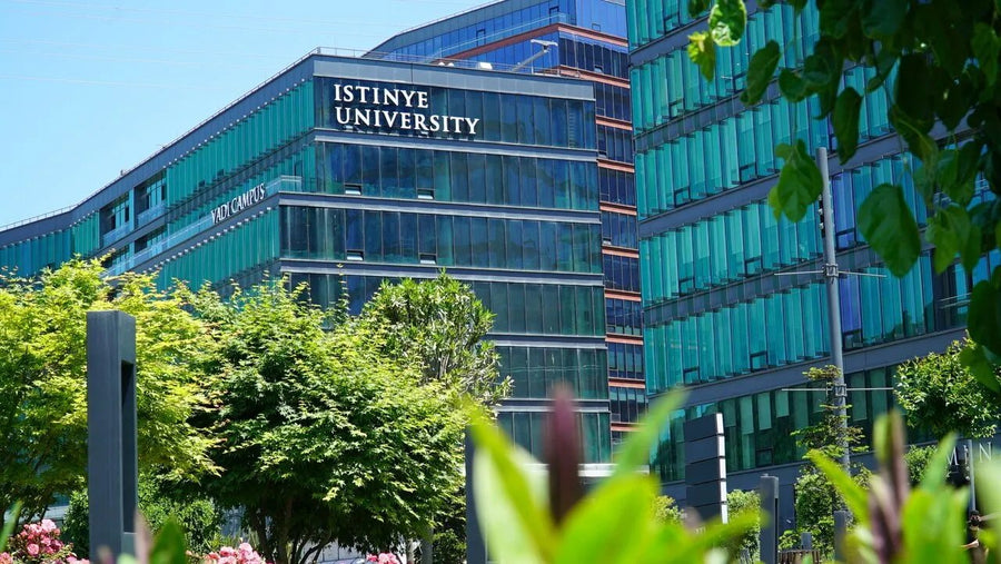 ISTINYE UNIVERSITY