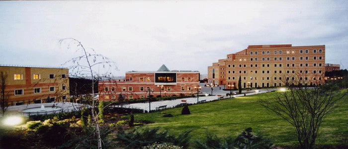 YEDITEPE UNIVERSITY