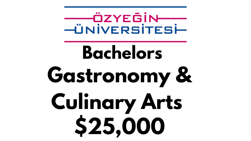 Bachelors of Science (BSc) Gastronomy & Culinary Arts at Ozyegin University: $25,000/year (Scholarship Available)