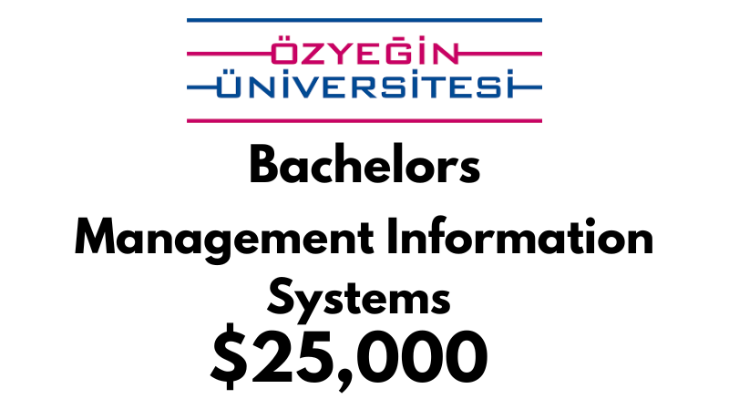 Bachelors of Arts (BA) in Management Information Systems at Ozyegin University: $25,000/year (Scholarship Available)