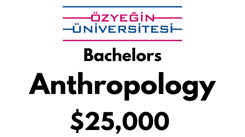 Bachelors of Arts in Anthropology at Ozyegin University: Tuition fee: $25,000/year (Scholarship Available)