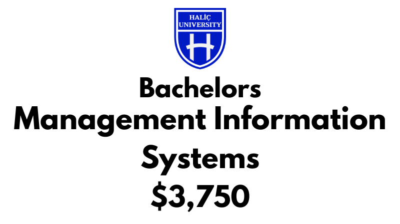 Bachelors of Management Information Systems at Halic University: Tuition Fee: $3,750/Year (After Scholarship)