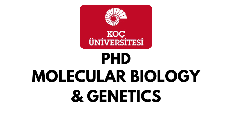 Doctoral - PhD in Molecular Biology and Genetics at koc University (Scholarship Available)