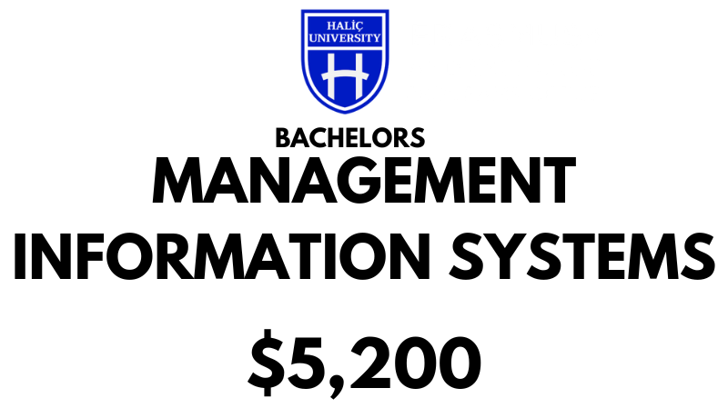 Bachelors of Management of Information Systems at Halic University: Tuition Fee: $5.200/Year (After Scholarship)