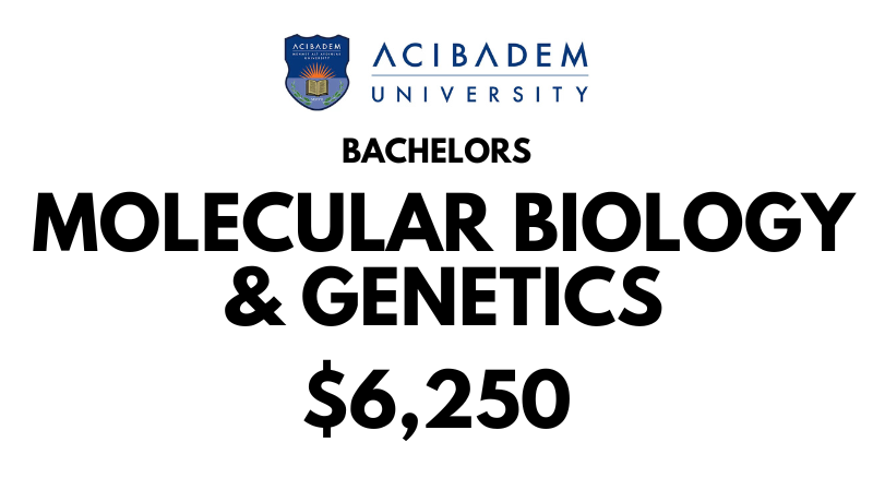 Bachelor of Molecular Biology & Genetics at Acibadem University: Tuition Fee: $6.250/year (After Scholarship)