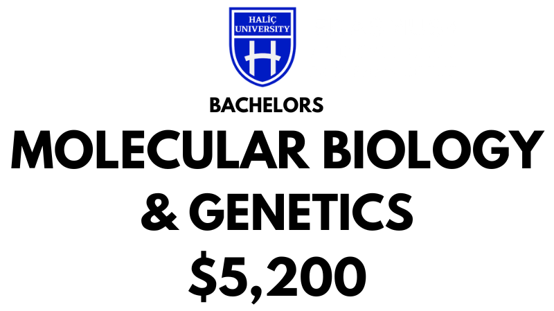 Bachelors of Molecular Biology and Genetics at Halic University: Tuition Fee: $5,200/Year (After Scholarship)