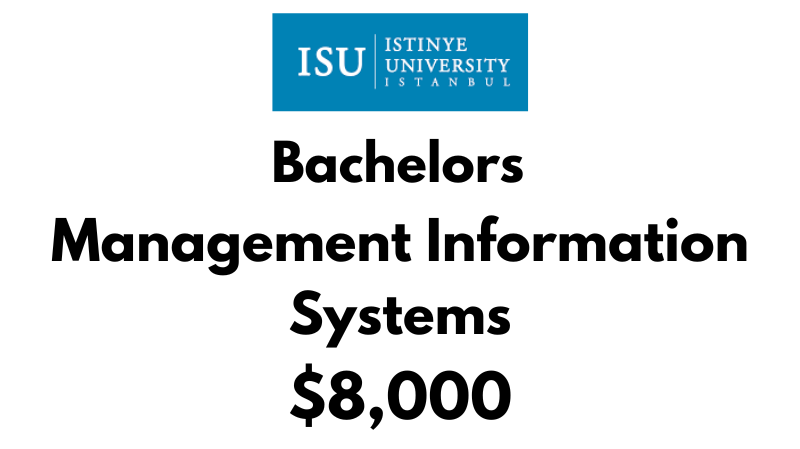 Bachelor of Management Information Systems at Istinye University: Tuition Fee: $8,000/year (After Scholarship)