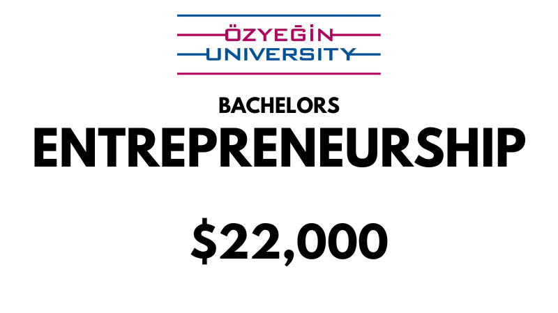 Bachelors of Arts (BA) in Entrepreneurship at Ozyegin University: $22,000/year (Scholarship Available)