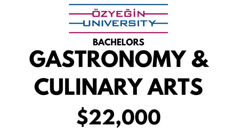 Bachelors of Science (BSc) Gastronomy & Culinary Arts at Ozyegin University: $22,000/year (Scholarship Available)