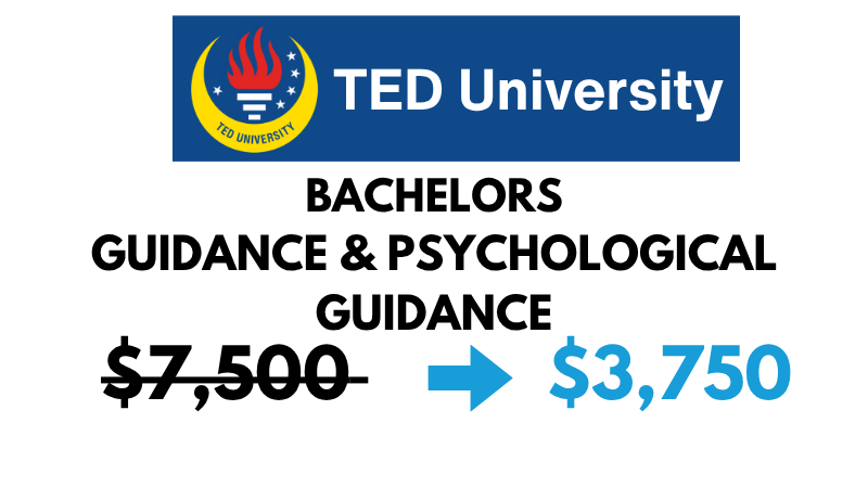 Bachelors of (BA) in Guidance & Psychological Counseling at TED University: $3,750/Year (After Scholarship)