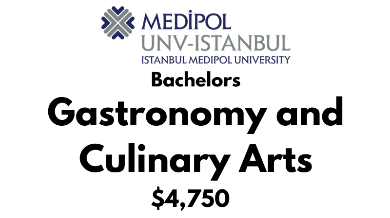 Bachelors in Gastronomy and Culinary Arts at Istanbul Medipol University: Tuition Fee: $4,750/year (Scholarship Available)